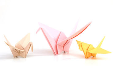 Wall Mural - Origami cranes on white