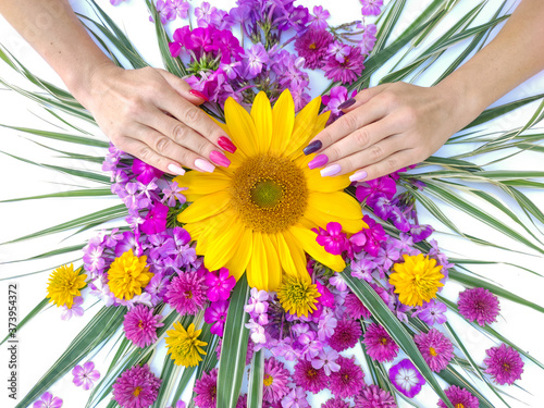 Ταπετσαρία τοιχογραφία Beautiful multi-colored nail design on women's hands with a bouquet of sunflower and chrysanthemums pink lilac and yellow