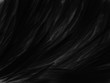 Beautiful abstract black feathers on dark background, gray feather texture on black background, white feather background
