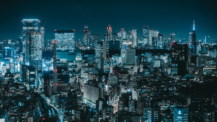 Wall Mural - 東京夜景