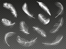 White Realistic Feather. Fluffy Angel Twirled Feathers, 3d Bird Feather, Swan Or Dove Wings Plumage Isolated Vector Illustration Icons Set. Realistic White Swan And Fluffy, Feather Falling