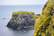 View Of A Coastal Grey Cliff Face In The Sea In Ireland With Green Plants And Moss