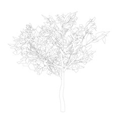 Wall Mural - The contour of a tree from black lines on a white background. Isolated tree on a white background. Vector illustration