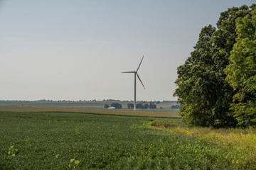 Windmill on the farm