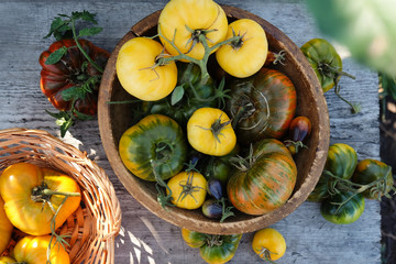 Wall Mural - Various colorful tomatoes in a bowl on the old wooden table, outdoors.