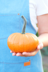 Wall Mural - young woman holding a small golden pumpkin. organic vegetables.