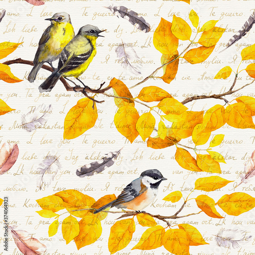 Fotografia Birds on branch and feathers