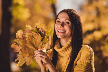 Wall Mural - Portrait of positive cheerful girl tourist enjoy wild fall nature forest collect hold maple leaves wear yellow jumper