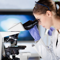 Poster - Life scientists researching in laboratory. Attractive female young scientist microscoping in their working environment. Healthcare and biotechnology.