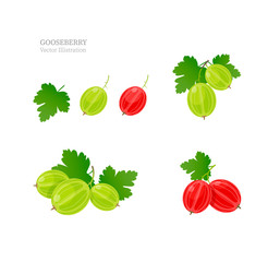 Wall Mural - Gooseberry vecltor illustration. Set of gooseberry isolated on white background.