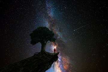 Wall Mural - man under a tree in front of the universe
