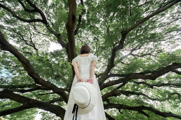 Wall Mural - Back side of woman wearing white dress standing under the Giant Monkey Pod trees in Kanchanaburi, Thailand.