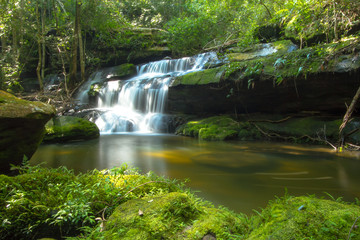 waterfall in green forest on rainy sesson