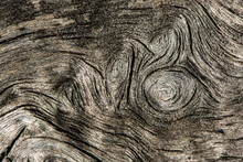Old Tree Trunk, Abstract Background