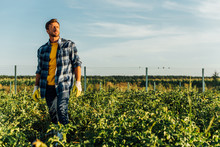 Rancher In Plaid Shirt And Work Gloves Looking Away While Standing In Field Against Cloudy Sky
