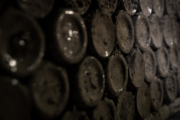 Wall Mural - aged wine bottles covered with mold in vintage wine cellar