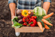 © LIGHTFIELD STUDIOS - high angle view of farmer holding wooden box with fresh, ripe vegetables