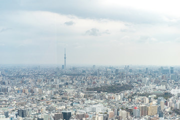 Wall Mural - Tokyo, Japan - Mar 28, 2019:Asia business concept for real estate and corporate construction - panoramic modern city skyline aerial view of Ikebukuro in tokyo, Japan