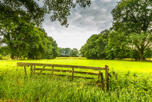 Landscape In Dutch Province Of Drenthe With Access Gate To Meadows Against Background Of Forest And Sky With Heavy Clouds