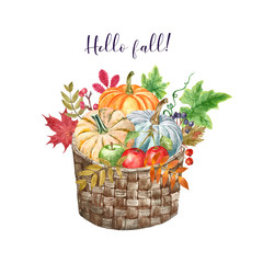 Wall Mural - Watercolor fall harvest illustration. Pumpkins, leaves, apples, berries in a rustic garden basket, isolated on white background. Autumn art.