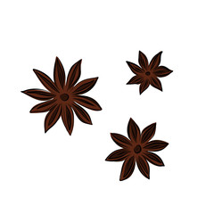 Wall Mural - Star anise hand drawn vector illustration. Culinary aromatic seasoning flower, seeds isolated on white background.