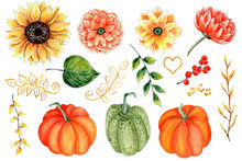 Hand Drawn Watercolor Thanksgiving Set, Pumpkins And Flowers With Leaves, Berries And Gold Glitter Graphic Elements.