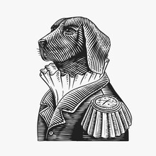 Dog Officer Or Military Man In The Old Uniform. Great Dane. Fashion Animal Character. Hand Drawn Vintage Sketch. Vector Engraved Illustration For Logo, Label And Tattoo Or T-shirts.