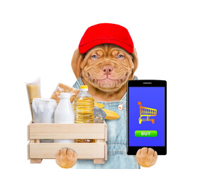 Poster - Delivery dog wearing red cap and overalls holds box with grocery and shows smartphone. Food delivery or safe shopping during coronavirus outbreak