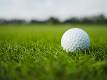 Golf Ball On The Green Grass Golf Course