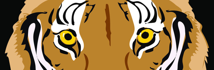 vector illustration Tiger Eyes Graphic in black background