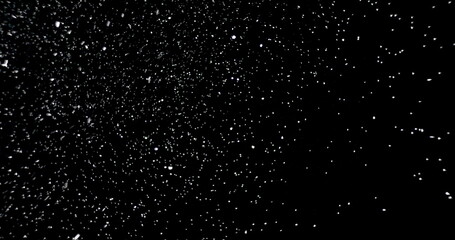 Wall Mural - white snowflakes falling in slow motion against an isolated black background.