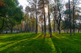 Fototapeta Panele - Hubei Wuhan Liberation Park late autumn scenery