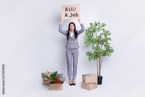 Full length body size view of her she nice attractive miserable crazy fired businesslady holding paper card saying need a job human occupation find vacancy isolated grey pastel color background