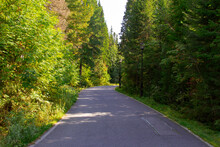 Wide Paved Road In The Reserve, Paved For Jogging And Cycling