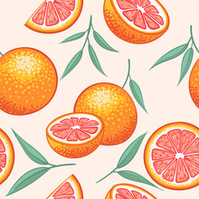 Whole Grapefruit With Slices Hand Drawn Design. Pattern Vector Illustration