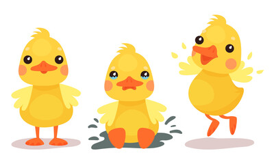 Wall Mural - Funny Yellow Duckling Standing, Jumping and Crying Vector Set