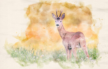 Sticker - Roe deer buck( Capreolus capreolus ) - waterpaint