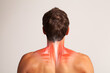 Upper back muscles anatomy, human body