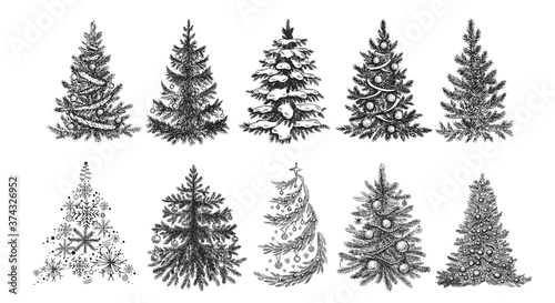 Fotomural Christmas tree. Hand drawn illustration.