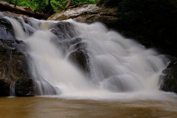 Poster - waterfall in the forest