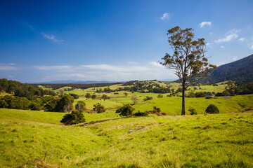 Wall Mural - Tilba Tilba Landscape in Australia