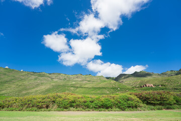 Wall Mural - Keawaula beach in west side of Oahu, Hawaii.