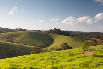 Tilba Tilba Landscape in Australia