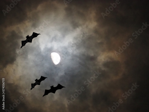 Photographie ハロウィンの夜 月光に照らされるコウモリのシルエット