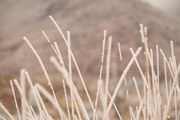 Naklejka na meble Naturaleza blanca y delicada
