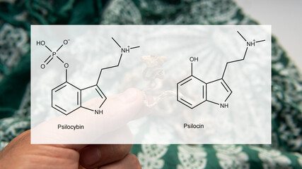 the medical effects of psilocybin and psilocin on the psycholog