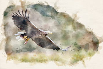 Canvas Print - White tailed eagle (Haliaeetus albicilla) waterpaint