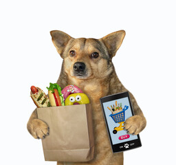 A beige dog orders food from cellphone. White background. Isolated.