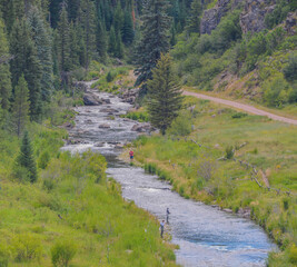 Wall Mural - The Yampa River is fead from the Stagecoach Gravity Dam. It is a great River for Fisherman. Yampa, Colorado