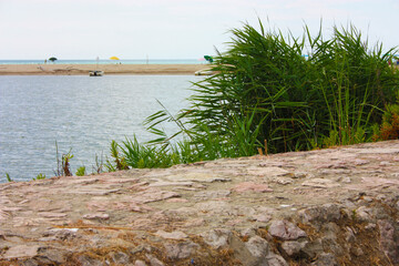 Wall Mural - glimpse of sea and river among the nature of marina di pisa in the tuscan serenity of the summer landscape